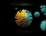 Saúde confirma mais 19 casos de coronavírus em Ivaiporã