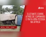 Elefante corre atrás de caminhão e mata uma pessoa na África