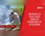 Incêndio em vegetação mobiliza bombeiros em Apucarana