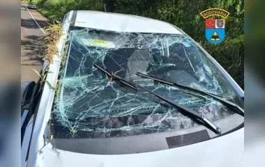 Veículo capotou após motorista perder o controle do carro