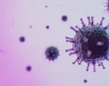 O País também registrou 271 novas mortes pelo coronavírus nas últimas 24h