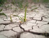 Simepar aponta déficit de chuvas no estado no mês de julho
