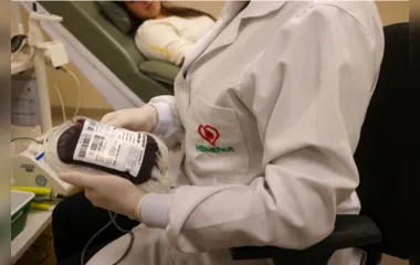 Homens podem doar sangue quatro vezes ao ano