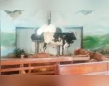 O animal entrou na igreja para se salvar