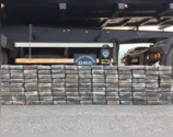 PF apreende 420 kg de cocaína em caminhão na Rodovia Castelo Branco