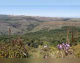 PR tem 55 mil hectares em Reservas Particulares de Patrimônio Natural