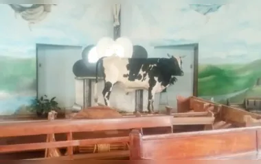 O animal entrou na igreja para se salvar