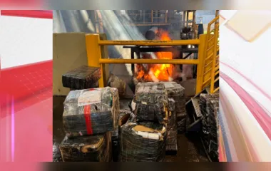 PF incinera mais de 2,5 toneladas de maconha em Maringá