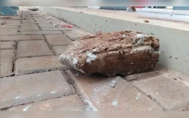 Morador de rua morre após ser espancado com bloco de concreto