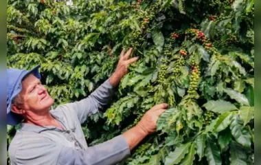 Cafeicultores investem em qualidade no pós-colheita
