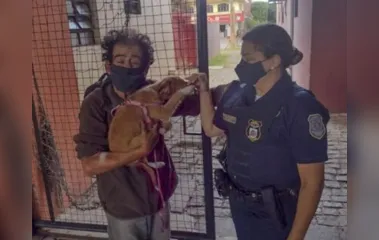 Guardas cuidam de cão até o dono receber alta hospitalar