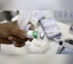 Estudo indica que atual vacina da gripe protege contra H3N2