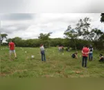 Projeto do IFPR de Ivaiporã realiza plantio de árvores