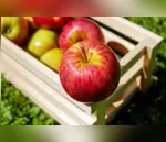 Criança morre após se engasgar com maçã em creche