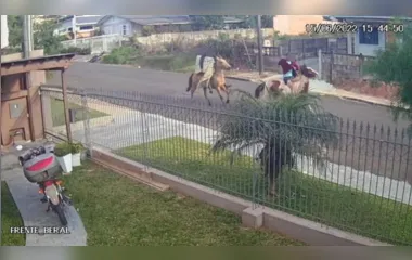 Dois homens, montados a cavalo, são presos por furto em Ponta Grossa