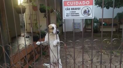 A placa colocada no portão de uma residência em Uberaba, Minas Gerais, repercutiu nas redes sociais
