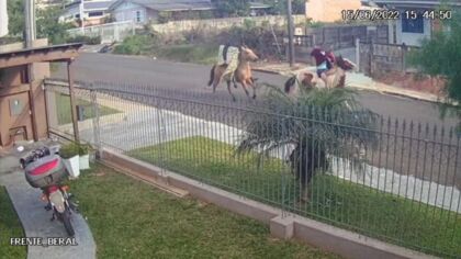Câmeras de segurança capturaram a imagem dos dois rapazes equilibrando os objetos roubados em seus cavalos