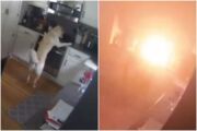 Casa pega fogo após cachorro conseguir ligar chamas do fogão