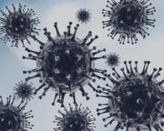 O País também notificou 53 novas mortes pelo coronavírus nesta segunda