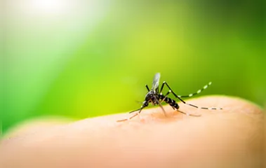 Região chega a nove municípios com epidemia de dengue