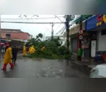Para trabalhadores atingidos pelas fortes chuvas em municípios de Alagoas e Pernambuco.