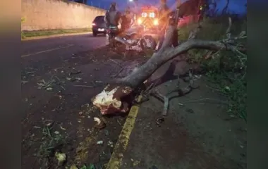 Galho de árvore caiu em motociclista