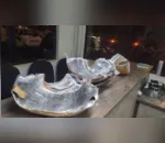 Os policiais encontraram pouco mais de nove quilos de haxixe, preso nas pernas de uma passageira com fitas adesivas.