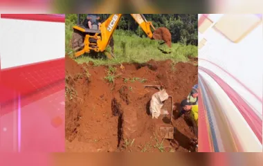 Trator furtado há sete meses é encontrado enterrado no Paraná