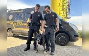 Cão policial auxilia tratamento de menores com dependência química