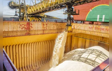 Exportação de açúcar de cana do Paraná rendeu 21% com apoio da Índia