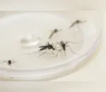 Municípios da 16ª RS somam agora 4.336 casos de dengue