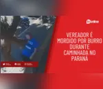 Vereador é mordido por burro durante caminhada no Paraná
