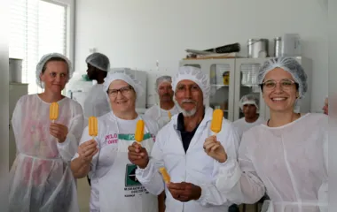Fruticultura do Paraná ajuda a expandir produção de sorvetes