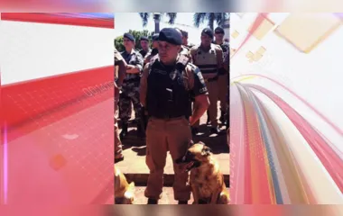 Polícia Militar de Arapongas se despede do cão Astor; veja