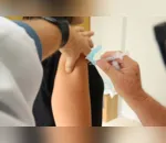 As vacinações serão realizadas, das 8h00 às 16h30, em todas as UBSs do município
