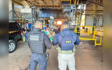 PRF e PF incineram mais de 8 toneladas de drogas apreendidas no Paraná