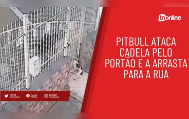 Pitbull ataca cadela pelo portão e a arrasta para a rua