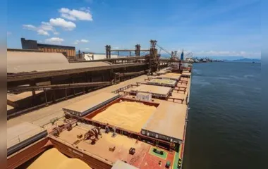 Porto de Paranaguá também passou de terceiro para segundo lugar em movimentação nacional de soja