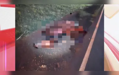 Cavalo solto em rodovia causa acidente com moto no PR; animal morreu