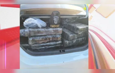 Motorista é preso com mais de 240 kg de maconha em Arapongas
